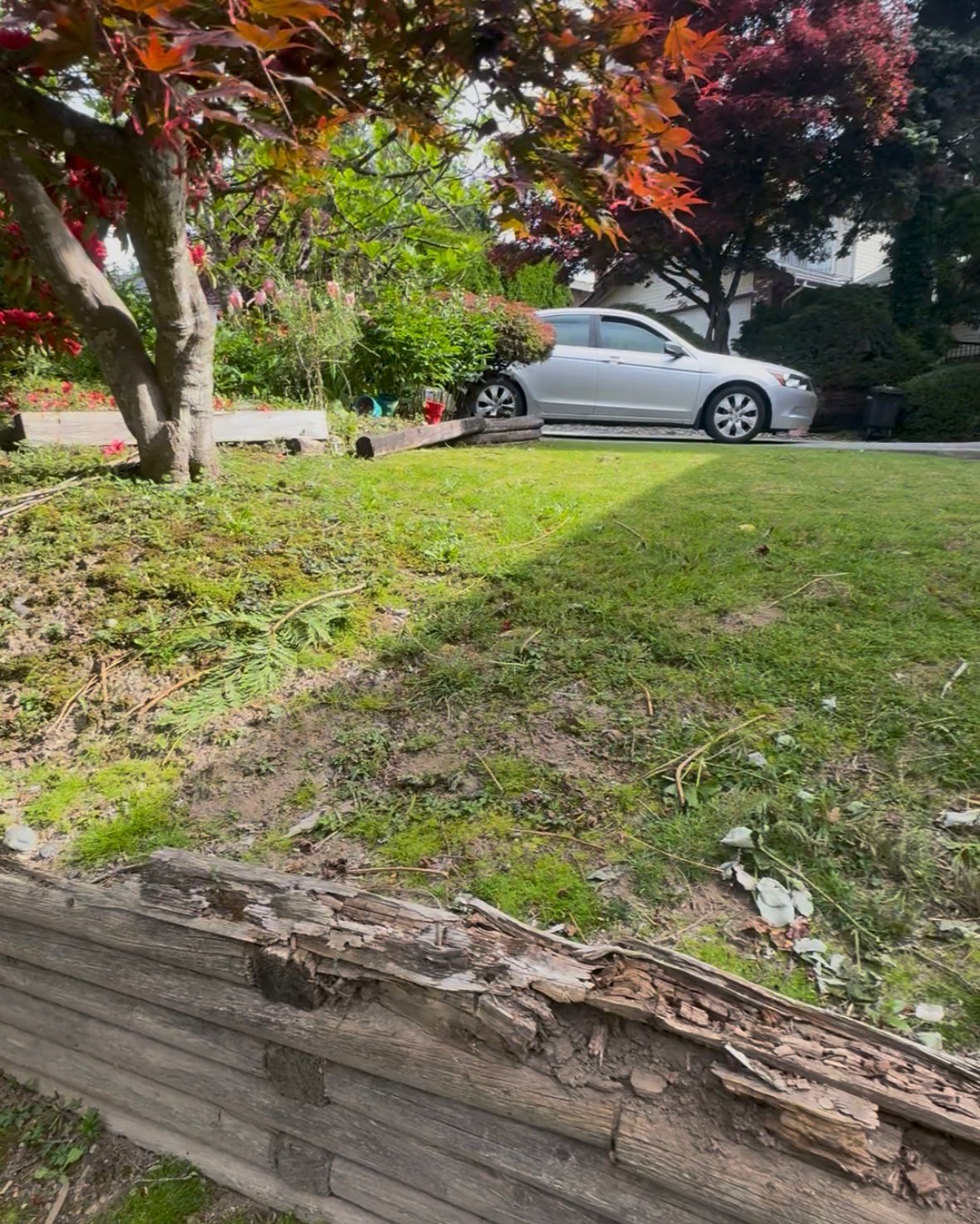Timber retaining wall area before improvement